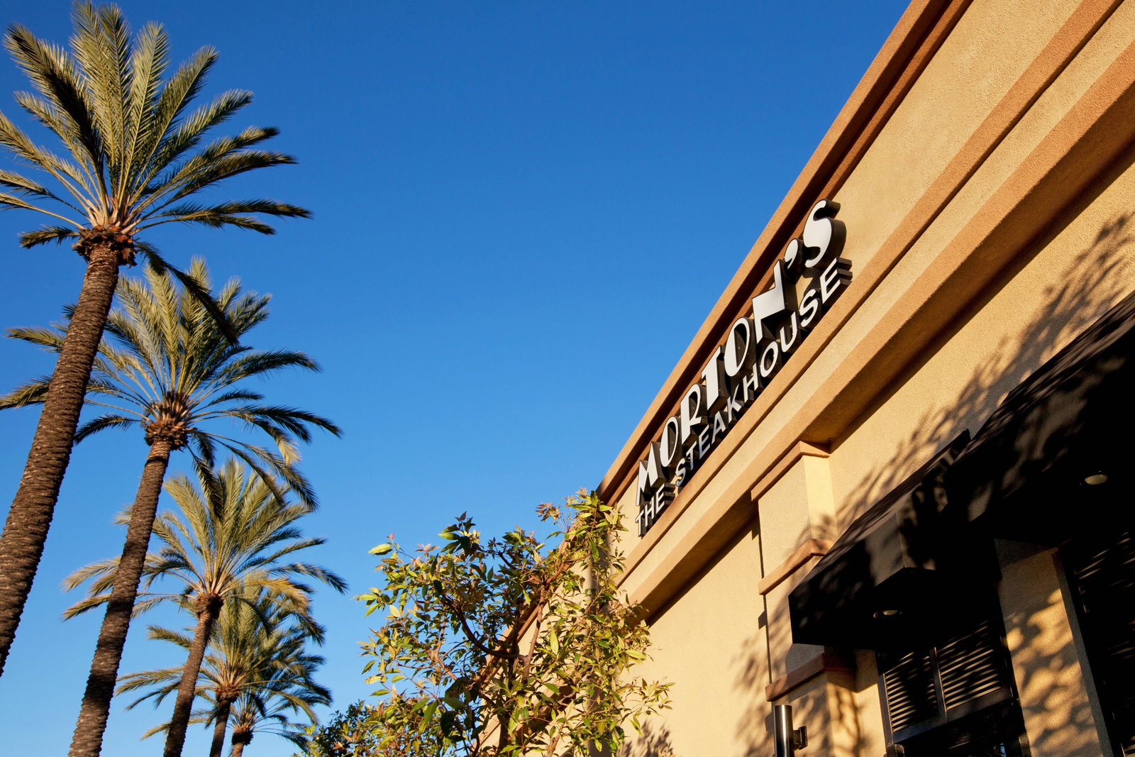 Sheraton Park Hotel At Anaheim Resort - thumb 10