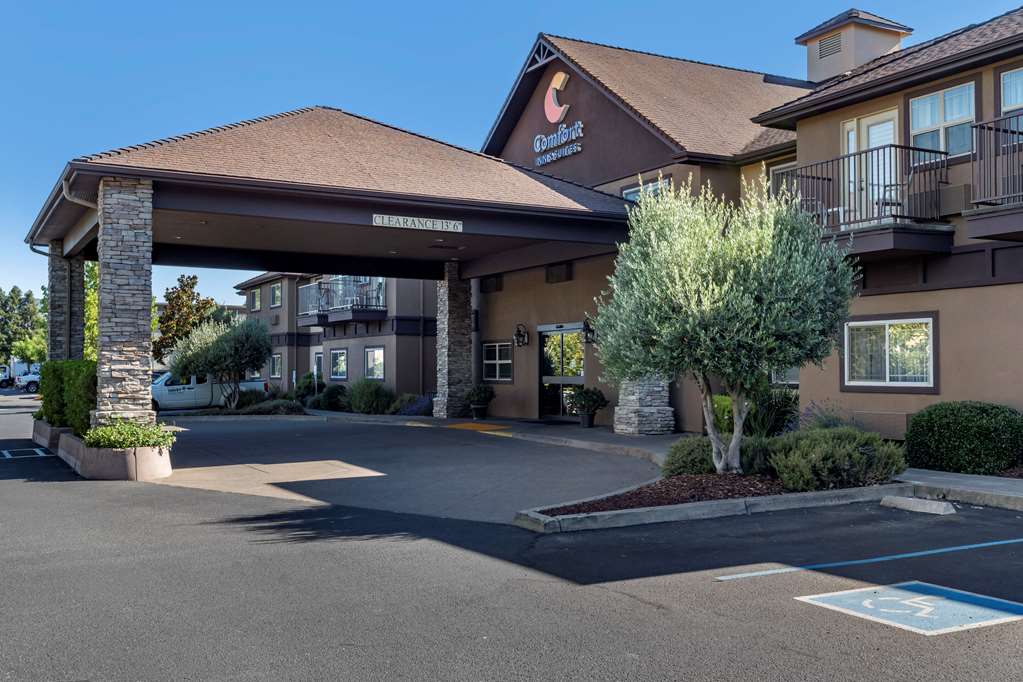 Comfort Inn & Suites - thumb 1