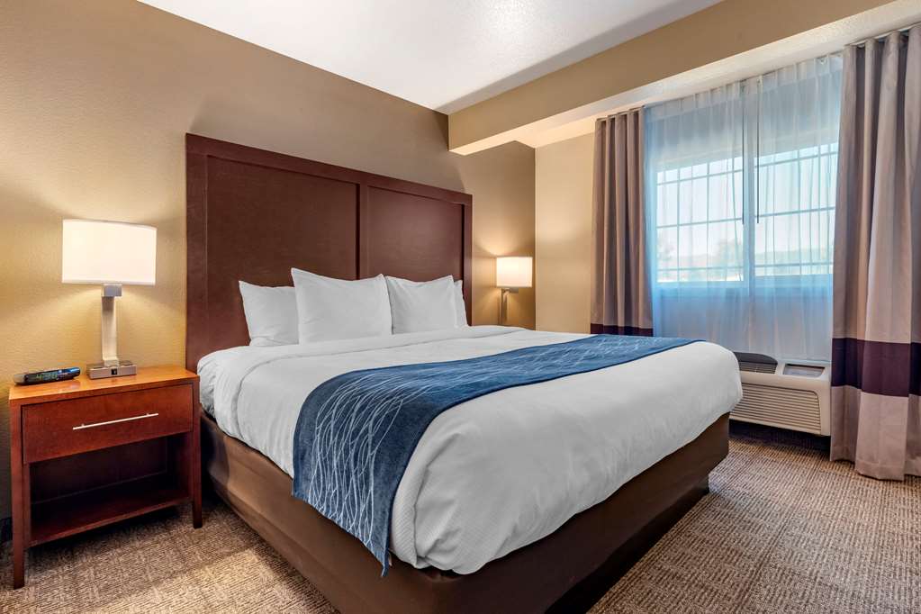 Comfort Inn & Suites - thumb 14