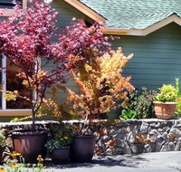 Sonoma's Best Guest Cottages - Accommodation Dallas