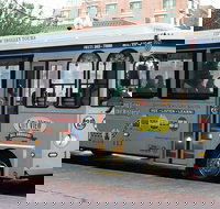 Boston Hop-On Hop-Off Trolley Tour with Harbor Cruise Option - Accommodation Dallas