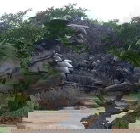 Create Your Own Dallas and Fort Worth Combination Tour - Accommodation Dallas