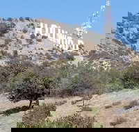 Half Day Hollywood and Beverly Hills Tour - Accommodation Dallas