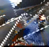 Chicago CityPASS - Accommodation Dallas