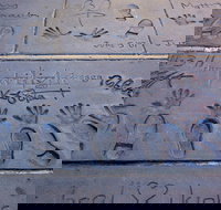 Hollywood Celebrity Homes Tour - Accommodation Dallas