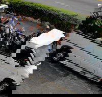 Hollywood Sightseeing and Celebrity Homes Tour by Open-Top Bus - Accommodation Dallas