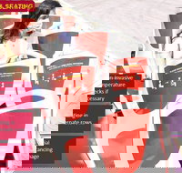 Big Bus Chicago Hop-On Hop-Off Tour - Accommodation Dallas