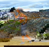 Griffith Observatory Hike Hollywood Hills Walk in Griffith Park - Accommodation Dallas