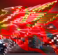 JFK Food and Culture Tour in Dallas - Accommodation Dallas