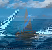 Afternoon Sail  Snorkel to the Captain Cook Monument - Accommodation Dallas