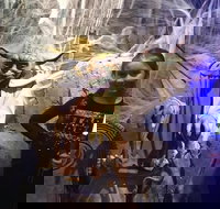 VIP Tour- The Galaxy Connection - Accommodation Dallas