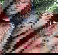 Participate in a Fun Scavenger Hunt in Little Rock by Zombie Scavengers - Accommodation Dallas