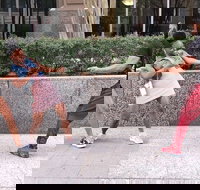 Little Rock City Scavenger Hunt Excursion by Operation City Quest - Accommodation Dallas