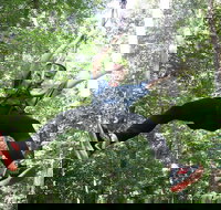 10 Zip Line Zip Tour 1.5 hours - Accommodation Dallas