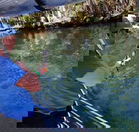 Manatee Viewing Cruise - Accommodation Dallas