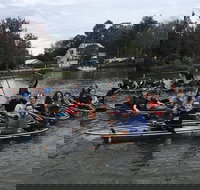 Clear Kayak Tour of Crystal River - Accommodation Dallas