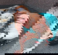 Fun City Scavenger Hunt in Hartford by Zombie Scavengers - Accommodation Dallas