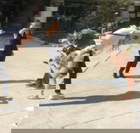 Explore Boulder with a Unique Scavenger Hunt by Operation City Quest - Accommodation Dallas