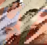 Explore Hartford with a Unique Scavenger Hunt by Crazy Dash - Accommodation Dallas