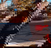 Ride Boulder's Best Guided E-Bike Tour - Accommodation Dallas