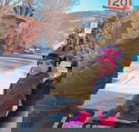 Small-Group E-Bike Guided Tour in Boulder - Accommodation Dallas