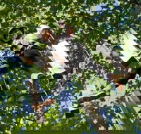 Fields of Fire Adventure Park Admission Ticket - Accommodation Dallas