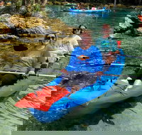 Full Day Tandem Kayak Rental For Two People In Crystal River Florida - Accommodation Dallas