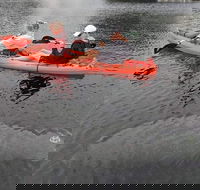 4 Hour Single Kayak Rental In Crystal River Florida - Accommodation Dallas