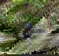 Clear Kayak Tours on Chassahowitzka River - Accommodation Dallas