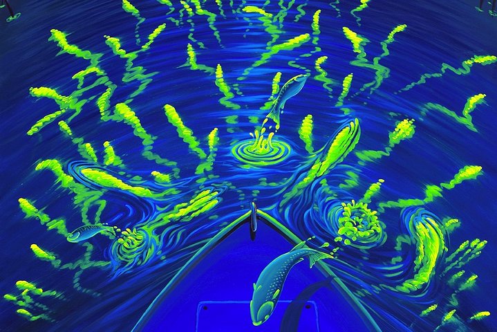 Bioluminescent Kayak Tour. Fin Expeditions Is Cocoa Beaches Top Rated Kayak Tour - thumb 1