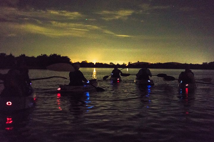 Bioluminescent Kayak Tour. Fin Expeditions Is Cocoa Beaches Top Rated Kayak Tour - thumb 3