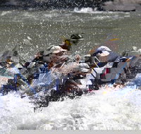 1/2 Day Afternoon Rafting Trip - Accommodation Dallas
