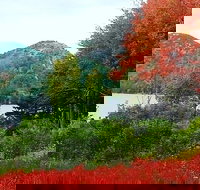 Narrated Bus Tour of Bar Harbor and Acadia National Park Classic - 2.5 Hours - Accommodation Dallas