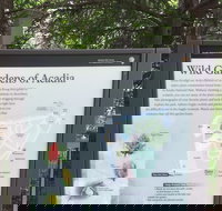 Premium Narrated Bus Tour of Bar Harbor and Acadia National Park 3.5 Hours - Accommodation Dallas