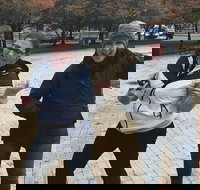 Adventurous Scavenger Hunt in Ann Arbor by Zombie Scavengers - Accommodation Dallas