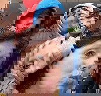 Adventurous Scavenger Hunt in Detroit by Zombie Scavengers - Accommodation Dallas