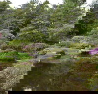 Acadia National Park private group tour- 4 Hours Local Guides - Accommodation Dallas