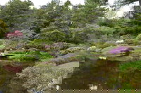 Corinna Me Accommodation Dallas