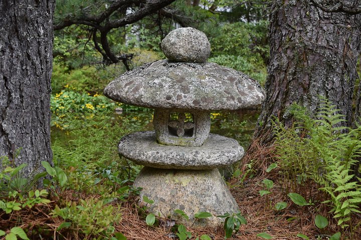 Acadia National Park Private Group Tour- 4 Hours Local Guides - thumb 2