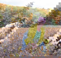 Guided Foraging - Mushroom Hunting Experiences - Accommodation Dallas