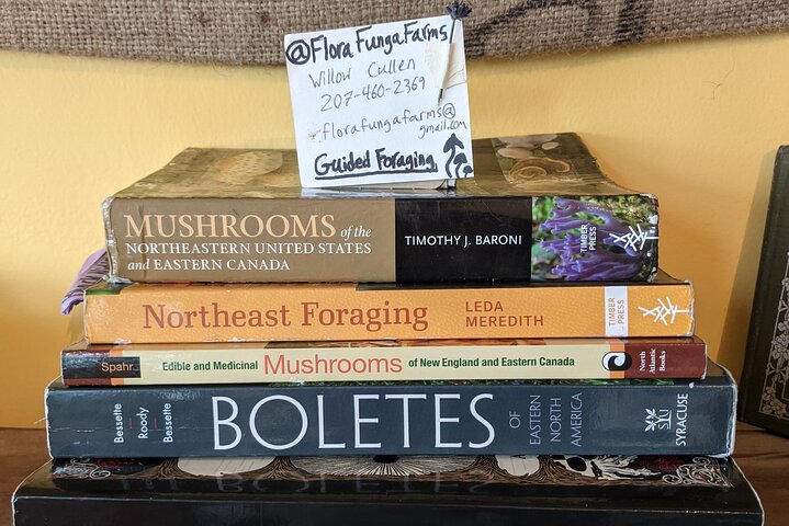 Guided Foraging - Mushroom Hunting Experiences - thumb 3