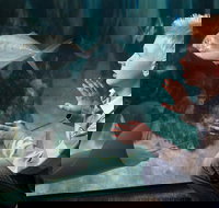 SEA LIFE Michigan Aquarium Admission Ticket - Accommodation Dallas