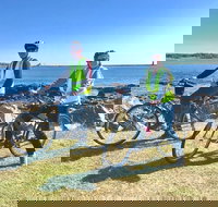 3.5hrs Coastal Tour Visit the Coastline Tucked Away Seaside Villages Mansions - Accommodation Dallas