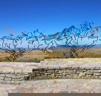 Historic Montana and Native American Heritage Tour - Accommodation Dallas