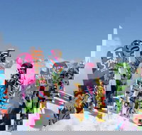 Big Sky Premium Snowboard Rental Including Delivery - Accommodation Dallas