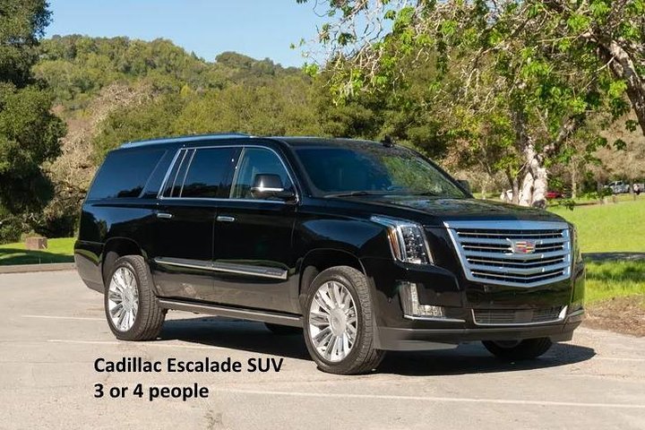 Minneapolis & St. Paul Highlights Private Riding & Walking Tour (3 Hrs) - thumb 1