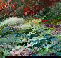 Gardens of Portsmouth Walking Tour - Accommodation Dallas