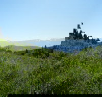 Hike to Chimney Rock with an Enthusiastic Tour Guide - Accommodation Dallas