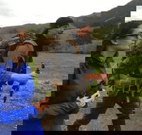 Sundowner Grizzly Excursion Tour - Accommodation Dallas