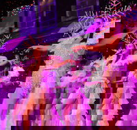 Branson's Christmas Wonderland - Accommodation Dallas